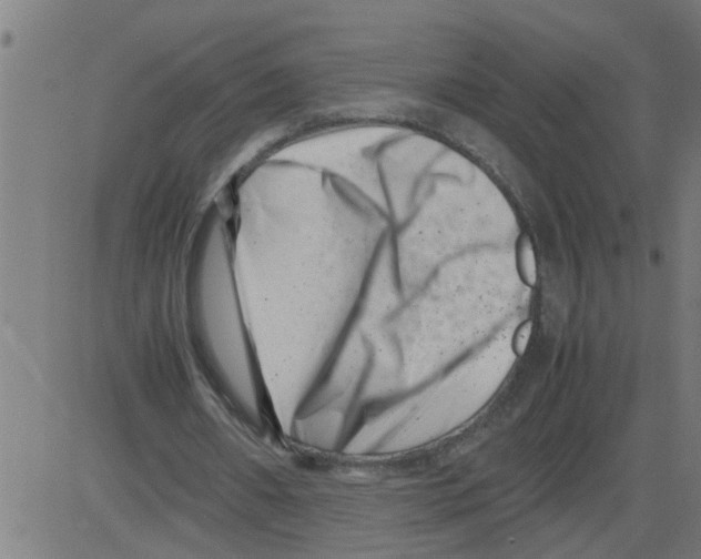 X0000081430482200702092203