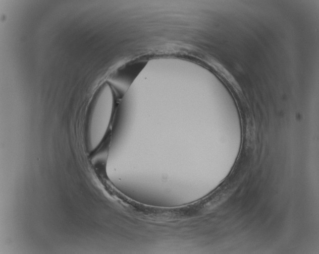 X0000081430485200702092203