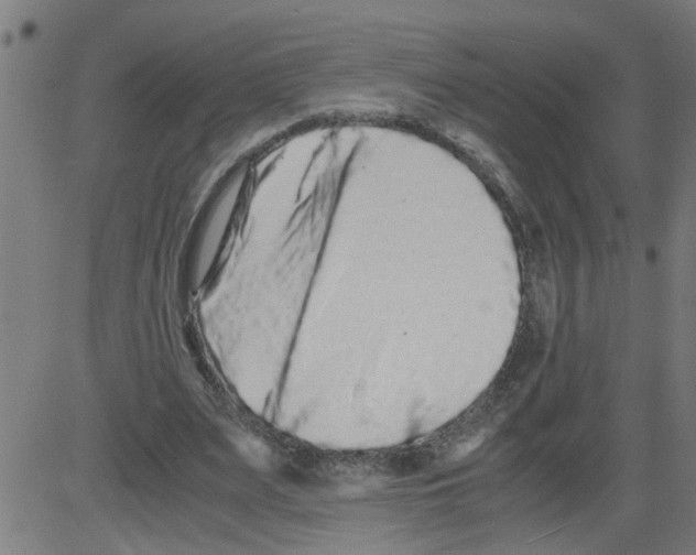 X0000081430487200702092203