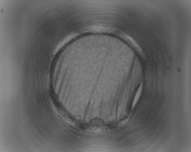 X0000081430488200702092203