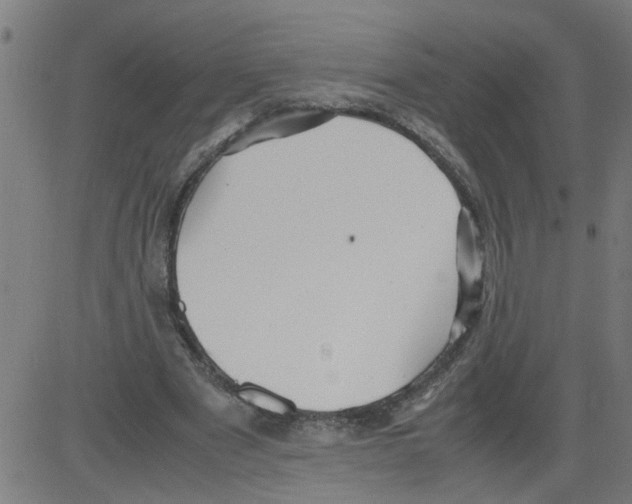 X0000081430489200702092203