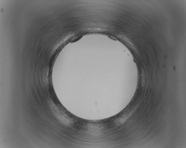 X0000081430490200702092203