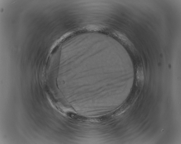 X0000081430492200702092203