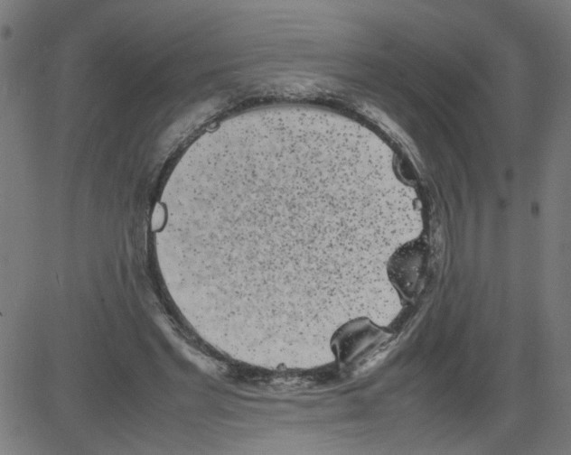 X0000081430493200702092203