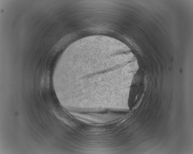 X0000081430494200702092203