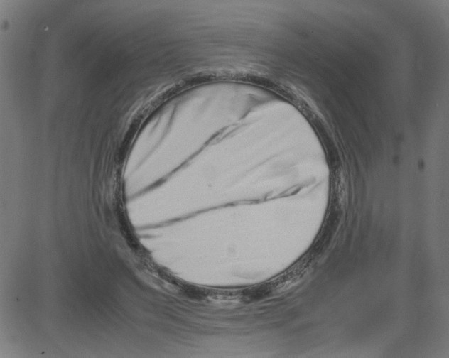 X0000081430495200702092203