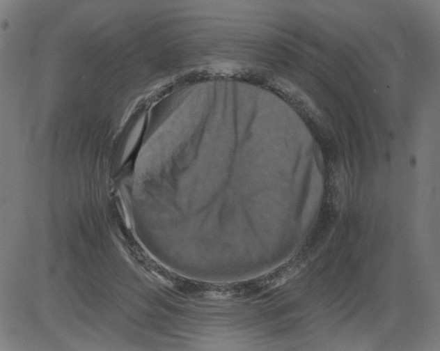 X0000081430496200702092203