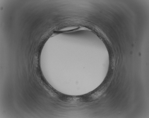 X0000081430497200702092203