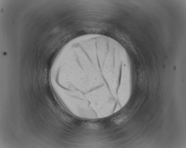 X0000081430498200702092203