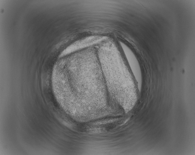 X0000081430499200702092203