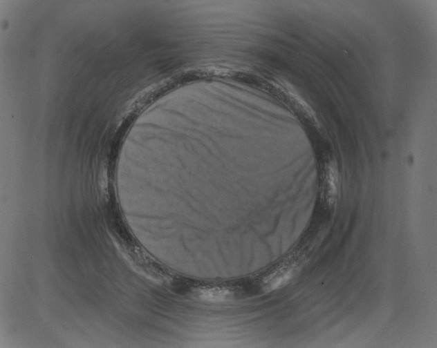 X0000081430500200702092203