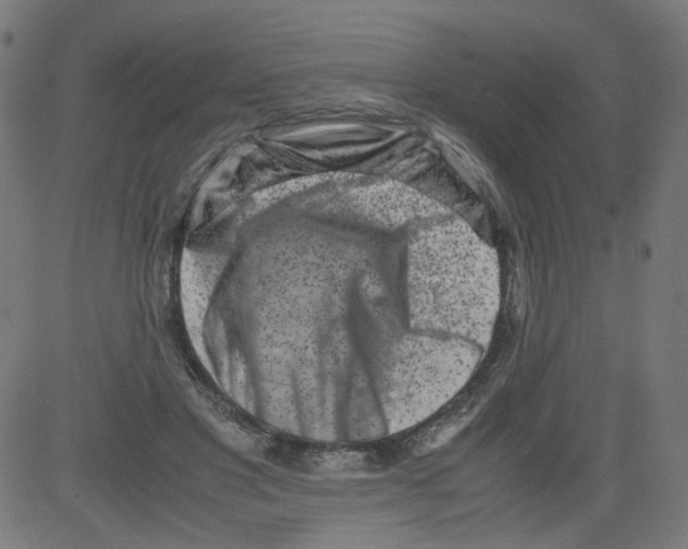 X0000081430501200702092203