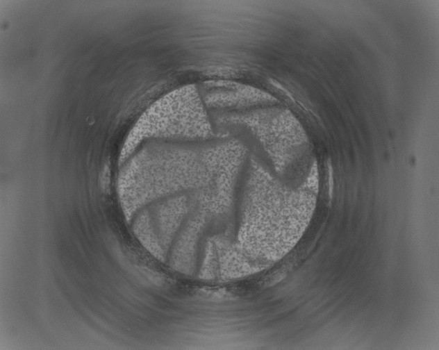 X0000081430502200702092203