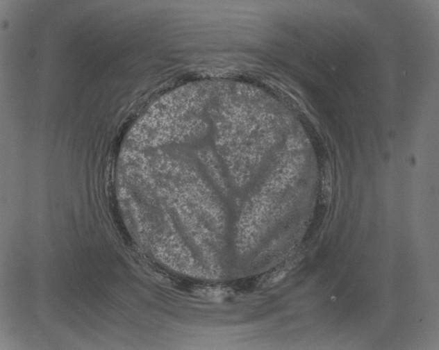 X0000081430503200702092203