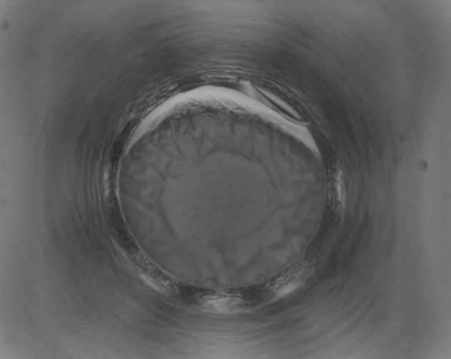 X0000081430504200702092203