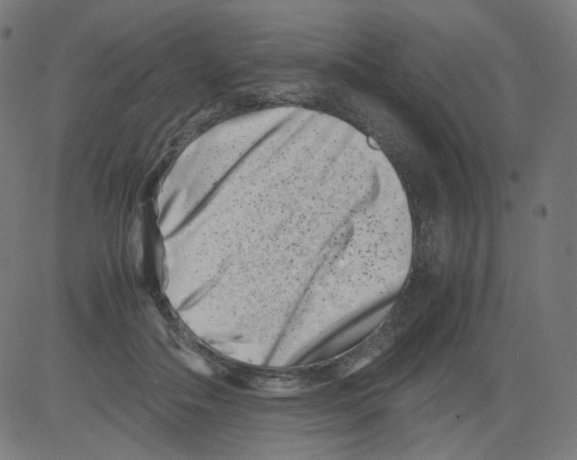 X0000081430506200702092203