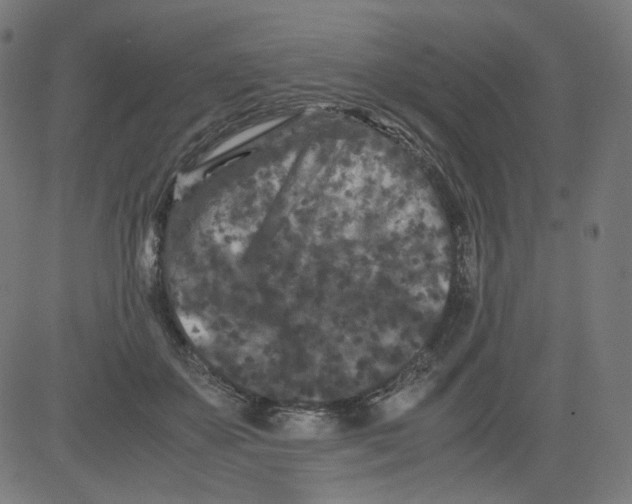 X0000081430507200702092203