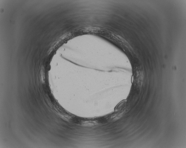 X0000081430508200702092203