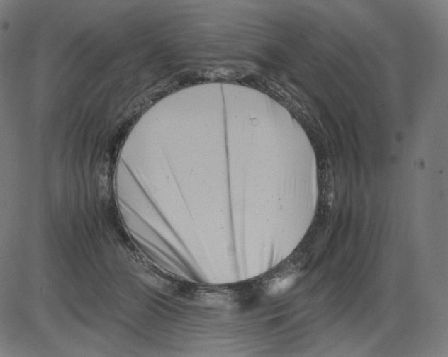 X0000081430510200702092203