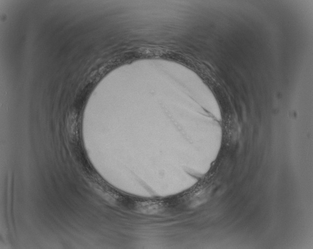 X0000081430511200702092203