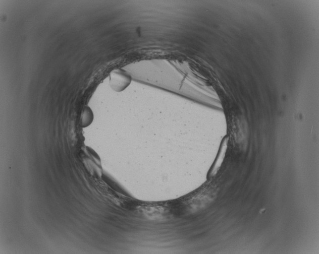 X0000081430512200702092203