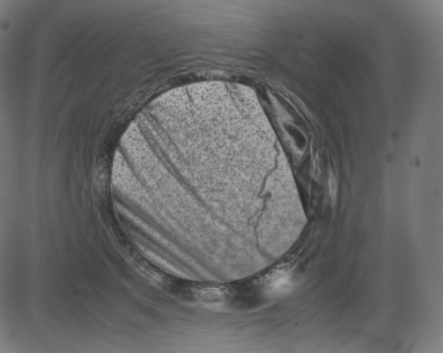 X0000081430513200702092203