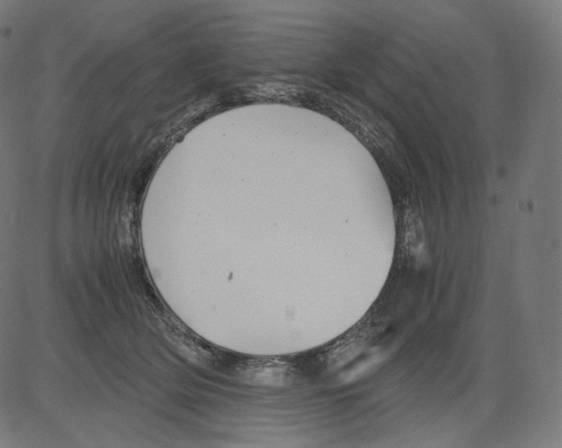 X0000081430514200702092203