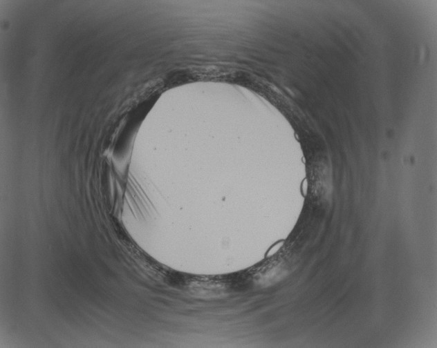 X0000081430515200702092203