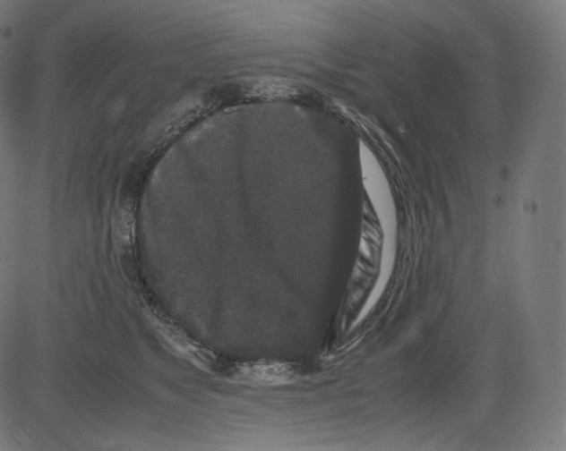 X0000081430517200702092203