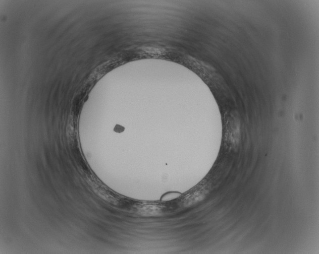 X0000081430518200702092203