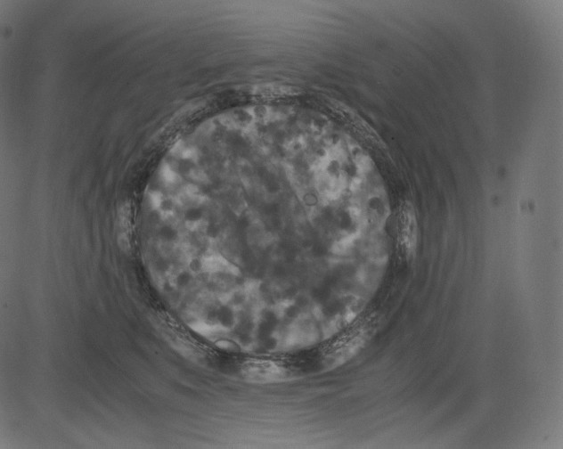 X0000081430519200702092203