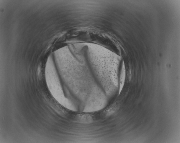 X0000081430520200702092203