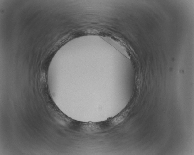 X0000081430521200702092203