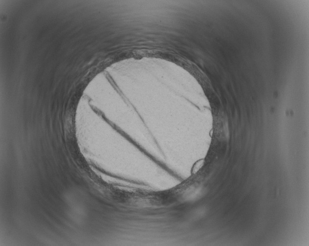 X0000081430523200702092203