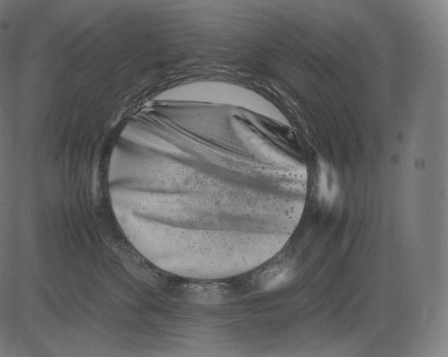 X0000081430524200702092203