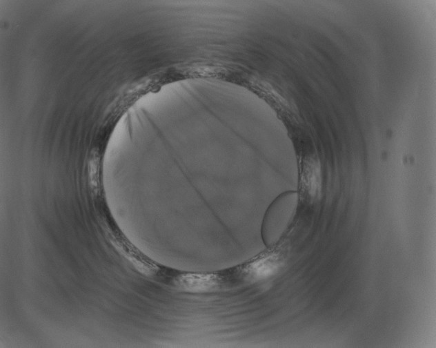 X0000081430526200702092203