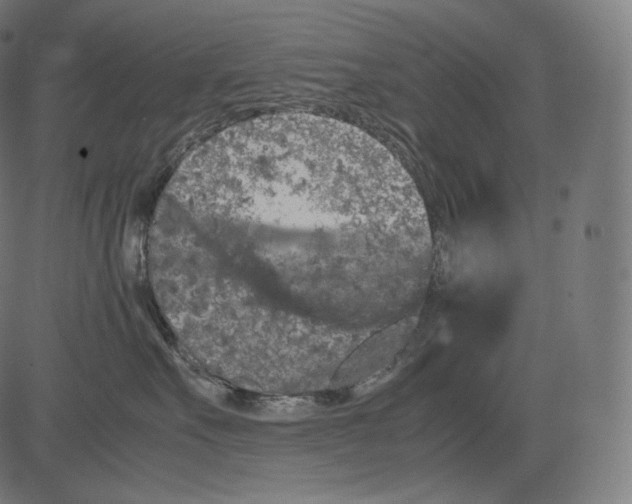 X0000081430527200702092203