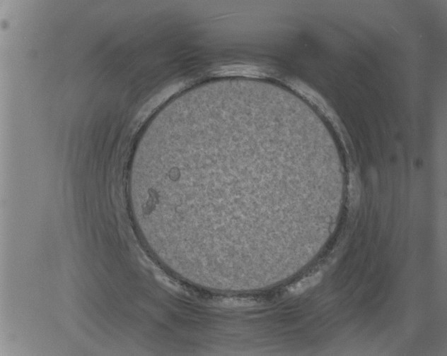 X0000081430529200702092202