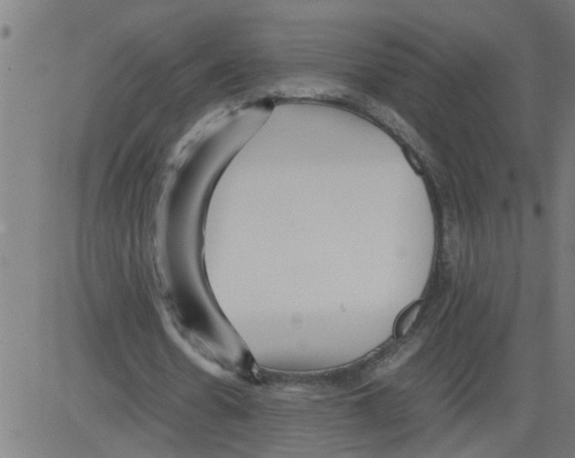 X0000081430530200702092202