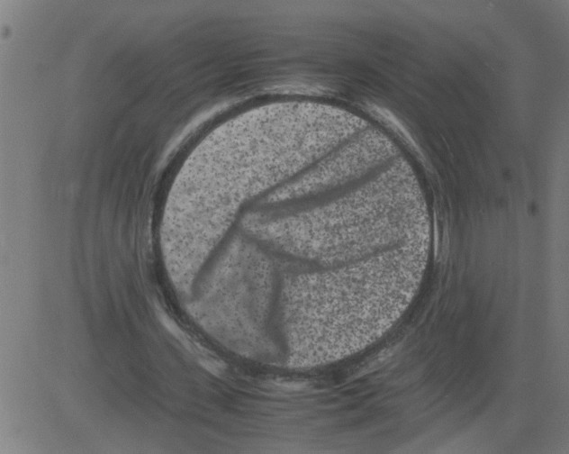 X0000081430531200702092202