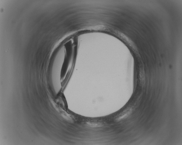 X0000081430532200702092202