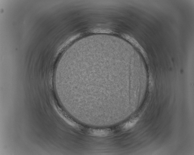 X0000081430533200702092202