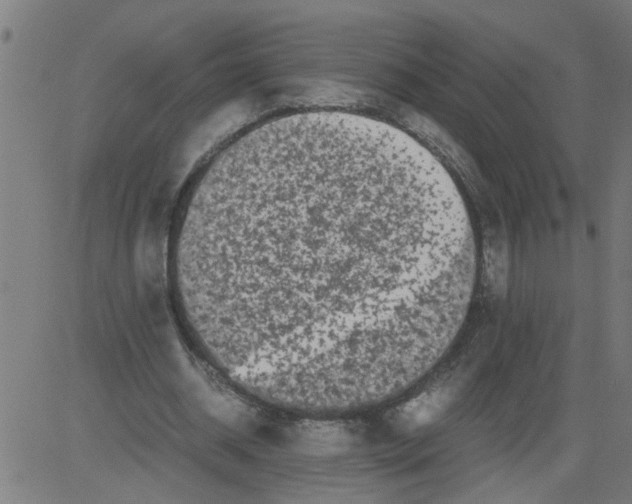 X0000081430534200702092202