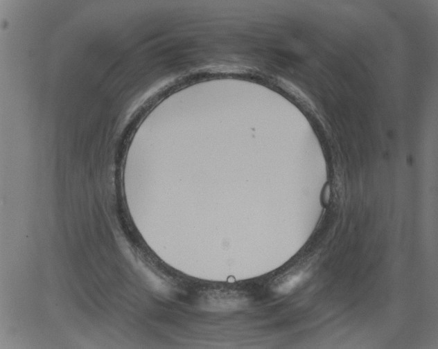 X0000081430535200702092202