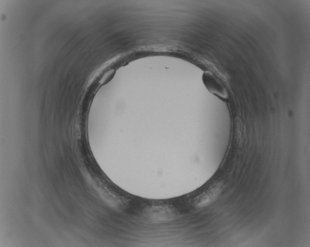 X0000081430536200702092202