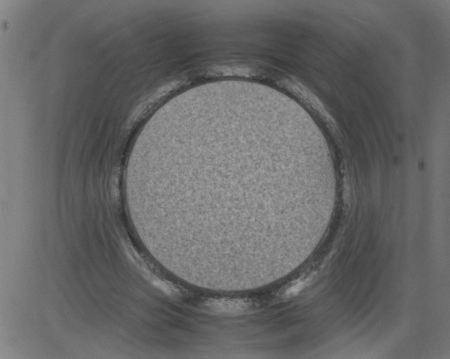 X0000081430537200702092202