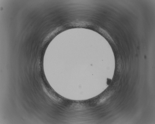 X0000081430538200702092202