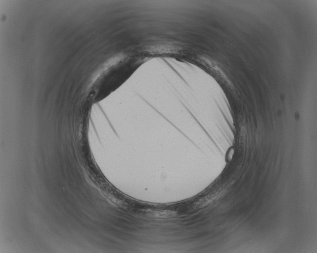 X0000081430539200702092202