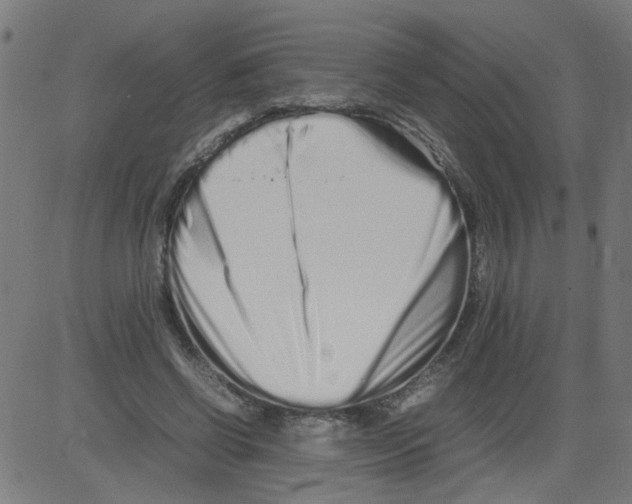 X0000081430542200702092202