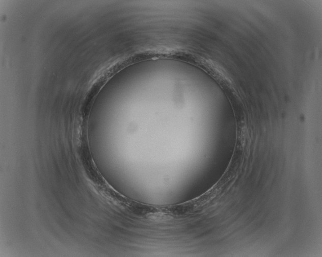 X0000081430544200702092202